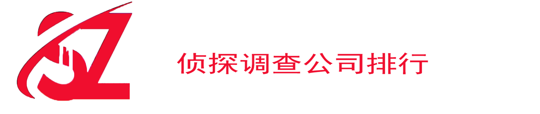 九極官方logo